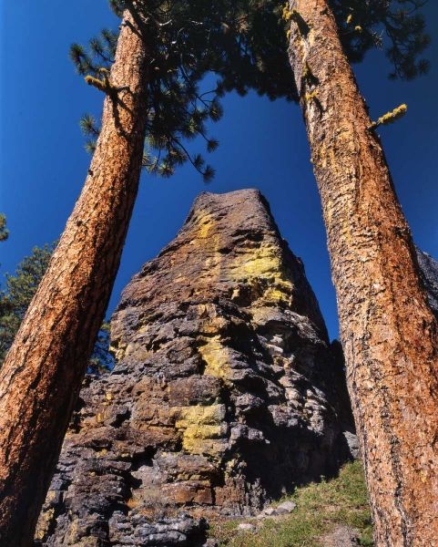 OR, Gearhart Mountain Trees frame rock formation